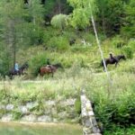 Horse Riding in Bled - The Experience and Its Highlights
