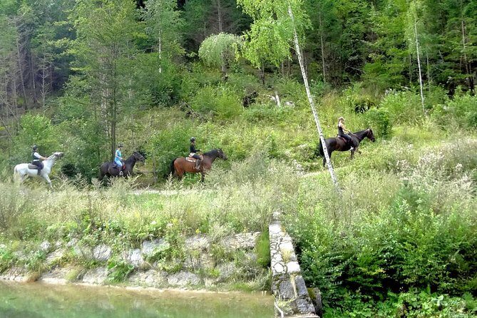 Horse Riding in Bled - The Experience and Its Highlights