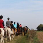 Horse riding in the French countryside - Who Will Love This Experience?