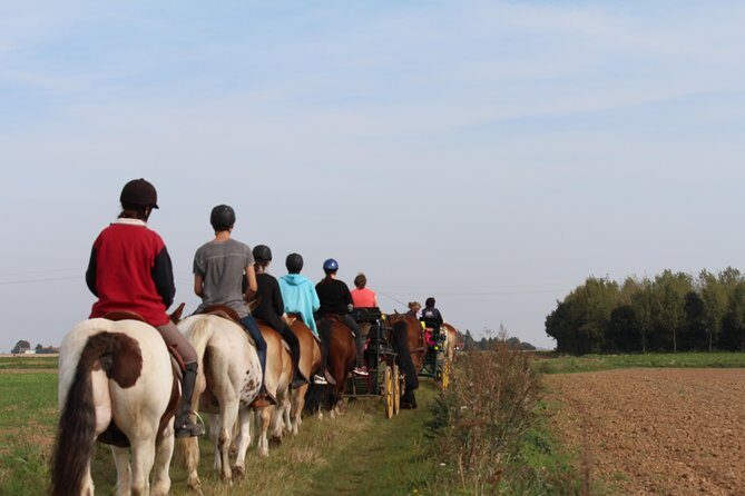 Horse riding in the French countryside - Who Will Love This Experience?
