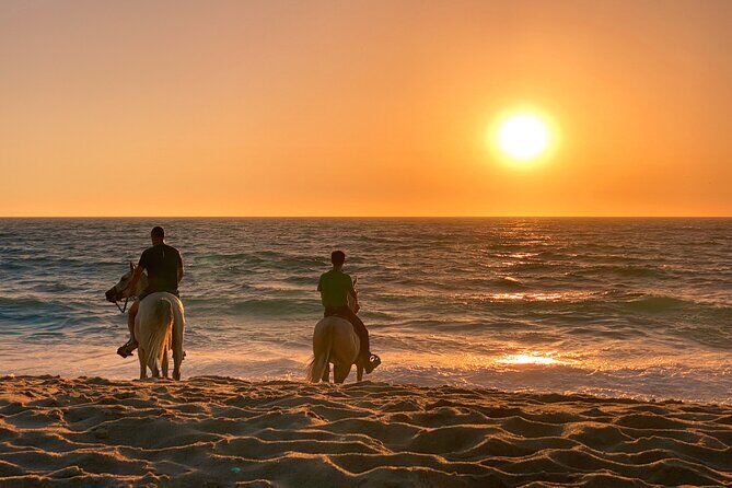 Horse Riding on Melides Beach - Is This Tour Worth the Price?