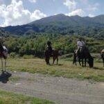 Horse Riding on Mount Vesuvius - Helping Out and Post-Ride Pleasures