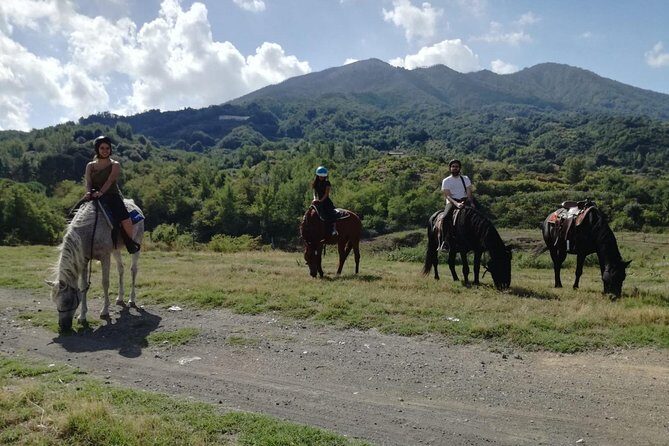Horse Riding on Mount Vesuvius - Helping Out and Post-Ride Pleasures