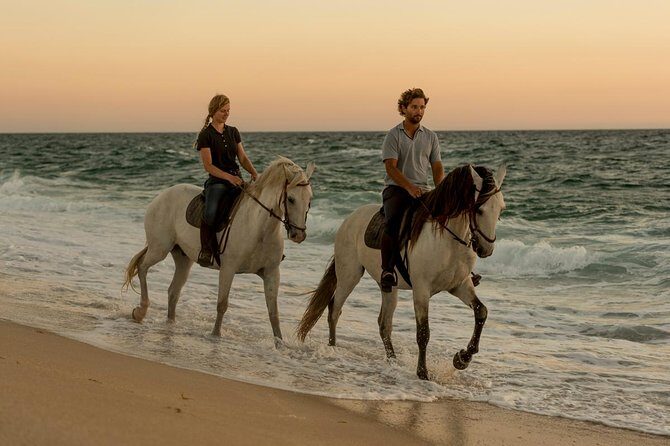 Horse Riding on the Beach - Pricing and Value