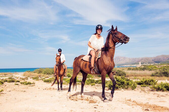 Horse Riding Tour in Marmaris - The Cost-Value Balance