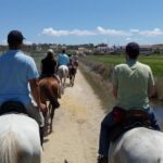 Horse Riding Tour on the Beach Lisbon region - Who Should Consider This Tour?