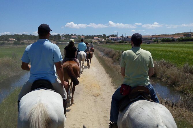 Horse Riding Tour on the Beach Lisbon region - Who Should Consider This Tour?