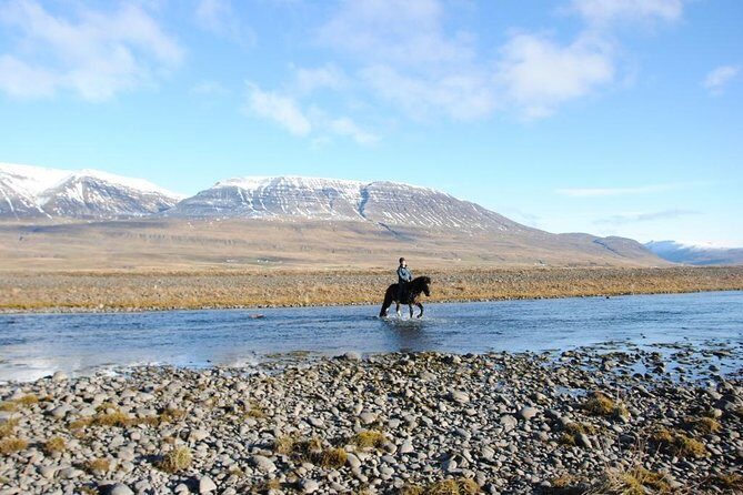 Horse Riding Tour to the Glacier River Delta with Waterfall - Deep Dive into the Itinerary