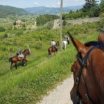 Horseback ride and gourmet cuisine in a historic food shop - Who Would Love This Tour?