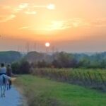 Horseback riding at sunset 1 hour at the Certosa di Pisa - The Scenic Route and Highlights
