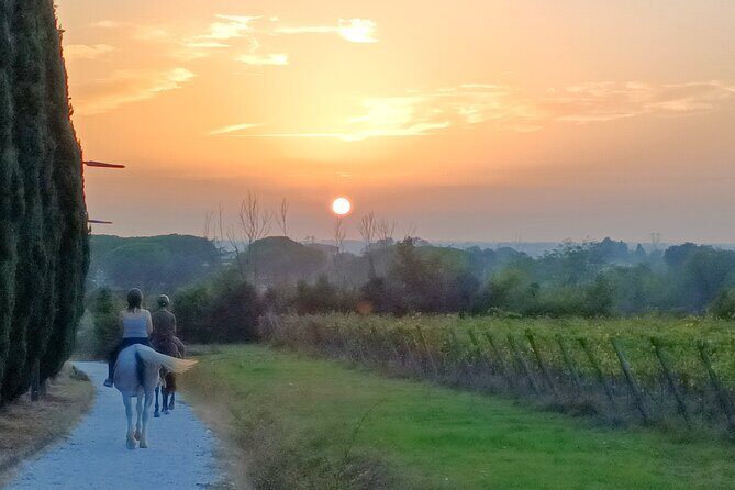 Horseback riding at sunset 1 hour at the Certosa di Pisa - The Scenic Route and Highlights