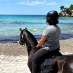 Horseback Riding in Cala Mitjana, Menorca, Spain - The Experience Itself: What You Can Expect