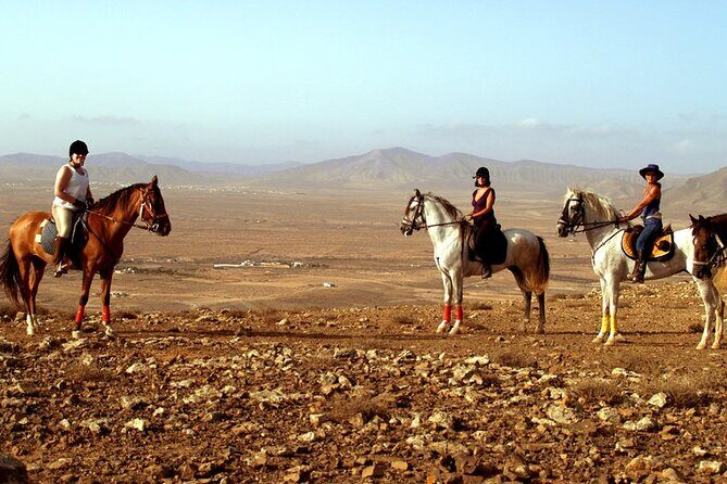 Horseback Riding in Fuerteventura for 1 or 2 hours, Spain - What Are the Downsides?