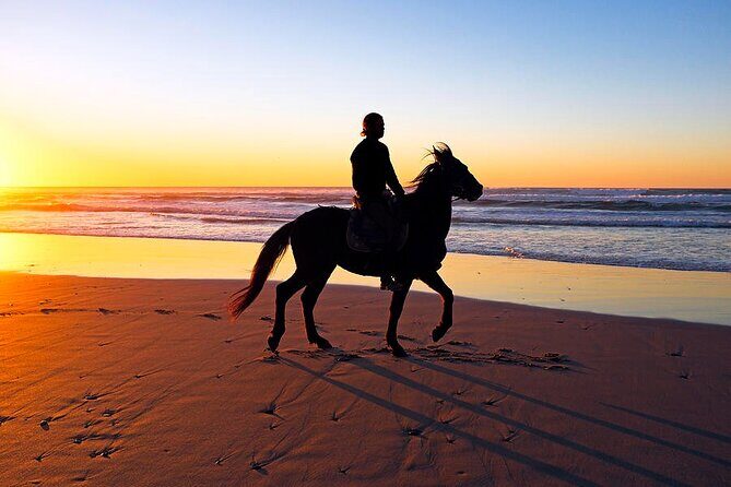 Horseback Riding in the sunset of Famara Beach, Lanzarote, Spain - Who Should Consider This Tour?