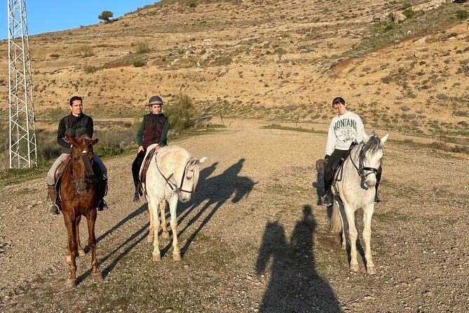 Horseback Riding with Certified Guide - The Horses and Guides