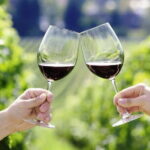 Horseback Riding with Wine Tour from Florence - The Itinerary: What to Expect at Each Stop