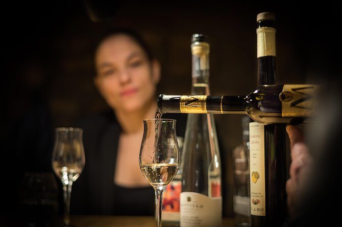 Hungarian Gastro Cellar: Assisted Tasting Options - Who’s It Best For?