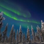 Hunting Northern Lights with Husky - The Sum Up