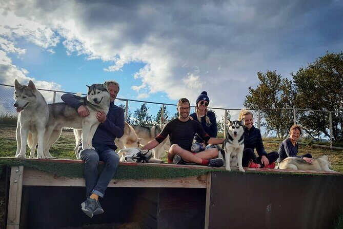 Husky Petting in Akureyri (private) - What You Can Expect During the Tour