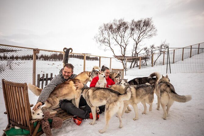 Husky Petting, in Akureyri - Authentic Experiences as Highlighted by Reviews