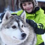 Husky Safari from Levi 2 KM or 5 KM with Husky Sledge Ride - The Value of This Tour