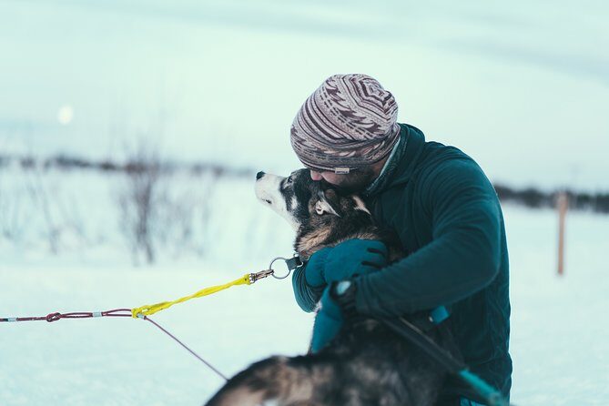 Husky Sledding Self-Drive Adventure in Tromso - Who Is This Tour Best For?