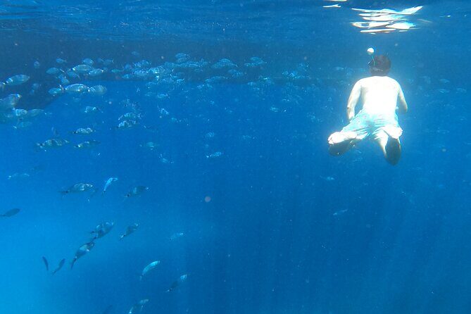 Ibiza Catamaran Cruise Es Vedrà Morning or Sunset - Who Is This Tour Perfect For?