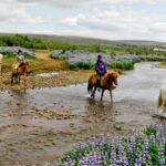 Icelandic Horseback Riding Tour Including Pick Up from Reykjavik - What to Keep in Mind
