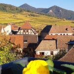 ICONICS Tour: 1/2 day on the Wine Route, visit of 2 Villages + Tasting. - What to Expect from the Itinerary