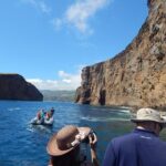 Ilhéus das Cabras in Terceira Island - The Practical Details
