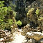Imbros Gorge Guided Hike & Swim  Day Trip from Chania - What to Expect from the Tour