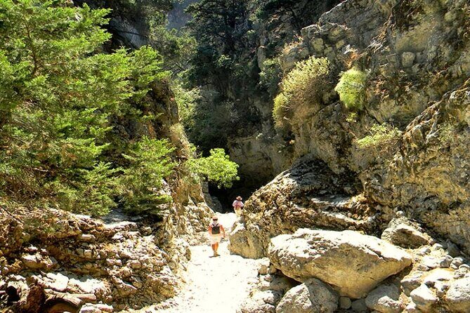 Imbros Gorge Guided Hike & Swim Day Trip from Chania - What to Expect from the Tour