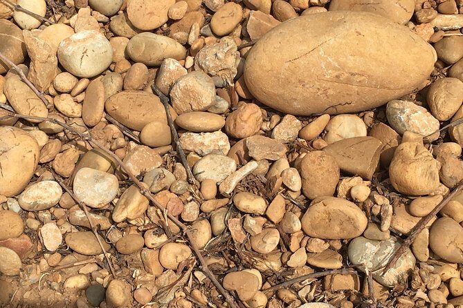 In Depth Chateauneuf-du-Pape - The Experience Provider and Reviews