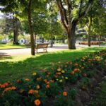 In the Heart of the City: Get to know the history of Tomar and taste local Tapas! - Practical Tips for Booking and Participating