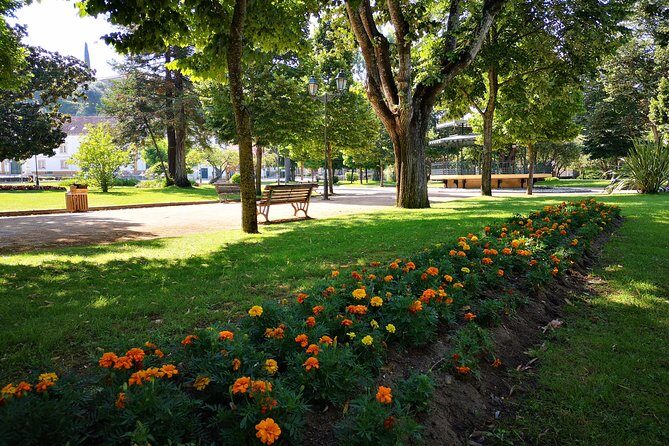 In the Heart of the City: Get to know the history of Tomar and taste local Tapas! - Practical Tips for Booking and Participating