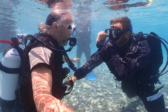 Introductory diving in small groups - The guides and their reputation