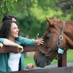 Irish National Stud & Gardens Skip the line Entrance - What’s the Experience Really Like?