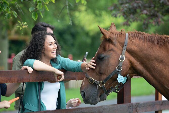Irish National Stud & Gardens Skip the line Entrance - What’s the Experience Really Like?
