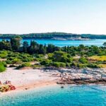 Island Visit National Park Brijuni & Dolphin Cruise - Authentic Traveler Perspectives