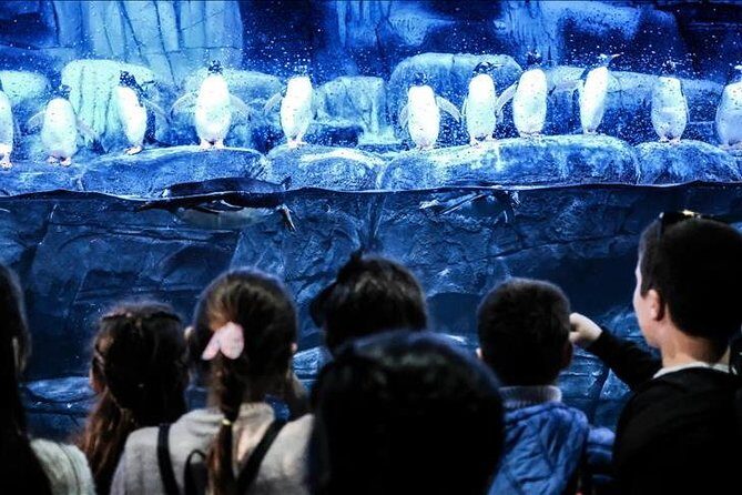 Istanbul Aquarium and Aqua Florya Independent Shopping Trip - Who Should Consider This Tour?