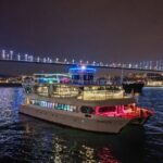 Istanbul Bosphorus Dinner Cruise Turkish Night with Private Table - Who Is This Tour Best Suited For?