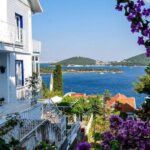 Istanbul Princes Island Tour with Lunch & Hotel Transfer - The Value Factor