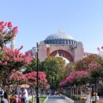 Istanbul Private Layover Tour - Real Traveler Feedback: What They Loved and Not