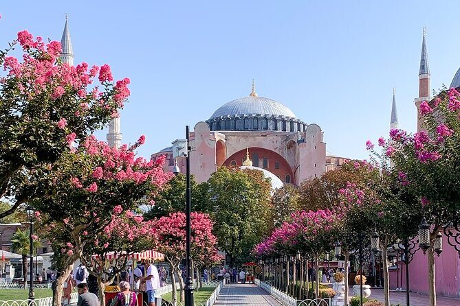 Istanbul Private Layover Tour - Real Traveler Feedback: What They Loved and Not