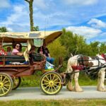 Jaunting Car Tour in Killarney National Park - Final Thoughts: Is This Tour for You?