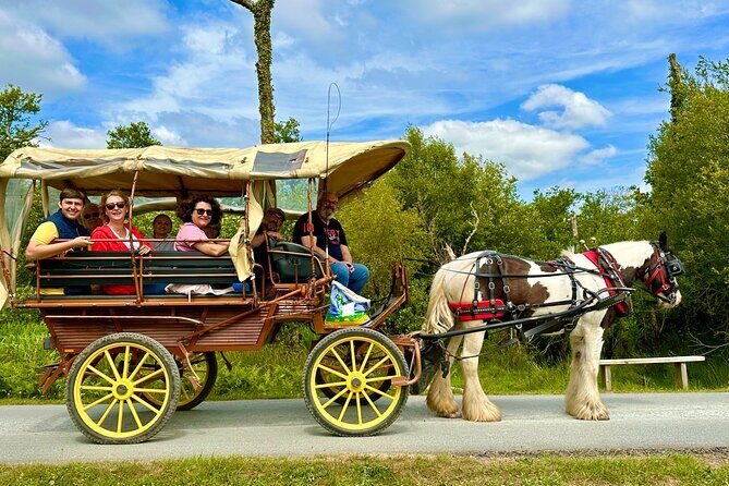 Jaunting Car Tour in Killarney National Park - Final Thoughts: Is This Tour for You?