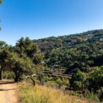 Jeep Safari #1 in Algarve - A Deep Dive into the Experience