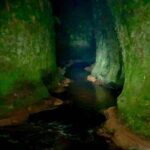 Join the Dark Side of Magical Nature - What Is the Tour All About?