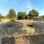 Journey by Tuk-Tuk - Discover the Ancient Treasures of Sardinia - Final Thoughts