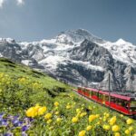 Jungfraujoch: Top of Europe Day Trip from Zurich - Who Is This Tour Best For?